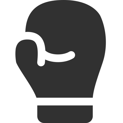 Boxing icon