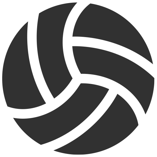 Volleyball icon